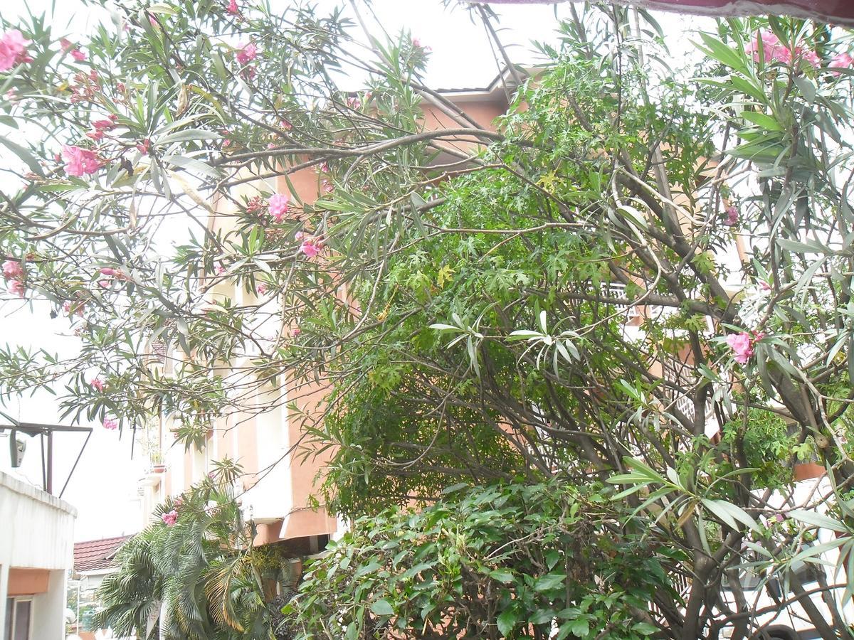 Hotel Vivi Palace Matadi Bagian luar foto